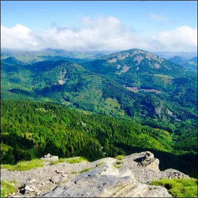 &Agrave; quel auteur-compositeur-interpr&egrave;te doit-on le titre "La Montagne" ?