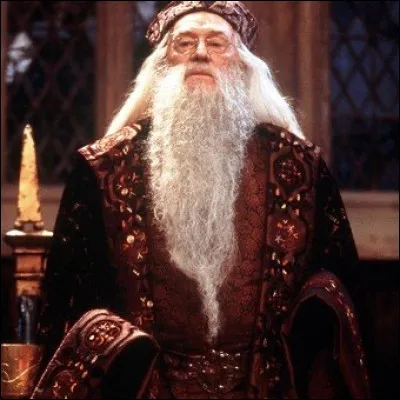 Dumbledore est quoi ? Bisexuel, hétérosexuel ou homosexuel ?