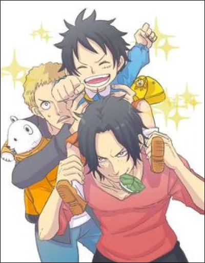 Qui sont les "2 frères" de Luffy ?