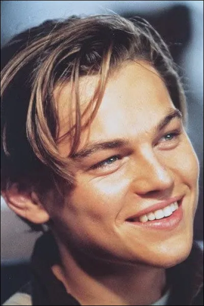 Dans quel film Leonardo DiCaprio ne vit-il pas une histoire d'amour ?