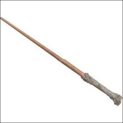 Que veux-tu comme baguette magique ?