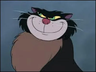 Comment s'appelle le méchant chat ?