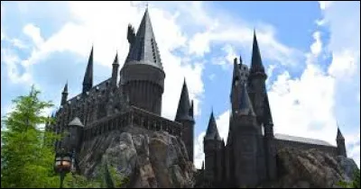 Quel lieu de Poudlard n'existe pas ?