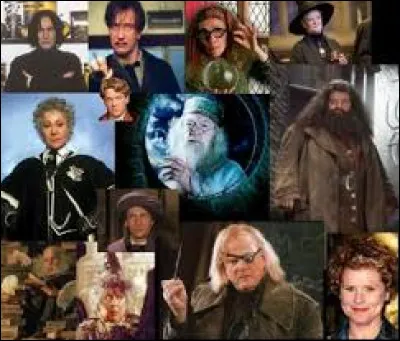 Qui est le professeur de défense cotre les forces du mal durant la 6e année à Poudlard de Ron, Harry et Hermione ?