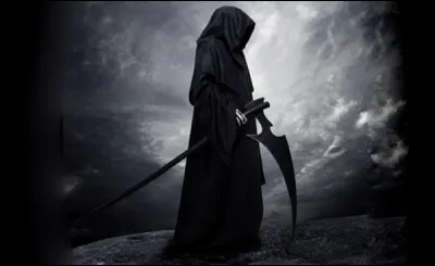 "Fort comme la mort" est un livre de...