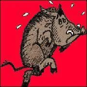 Il peut parcourir beaucoup de km de jour comme de nuit