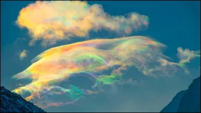 Le guérisseur de ton clan vient de recevoir un message du clan des Étoiles. Il parle :