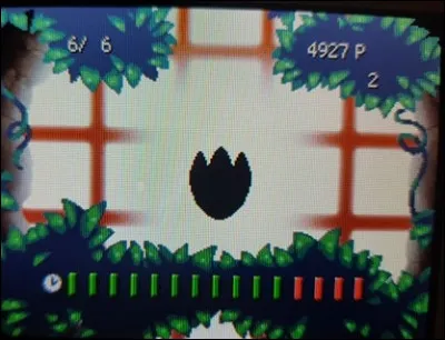 À qui appartient cette empreinte ?