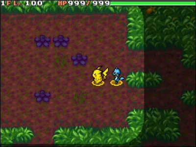 Quel thème musical peut-on entendre dans la Jungle Mystère ?