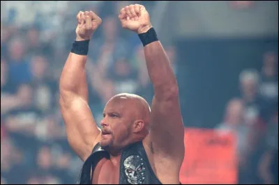 Quel est le finisher de Stone Cold "Steve Austin" ?