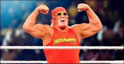 Quel est le finisher de Hulk Hogan ?
