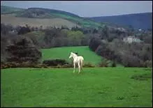 Qui chante Only our rivers run free ?