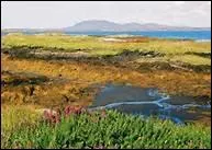 Qui chante My love is like a red red rose ?