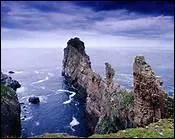 Qui chante Ringsend Rose ?