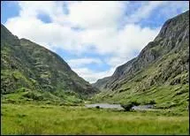 Qui chante Wild Rover ?