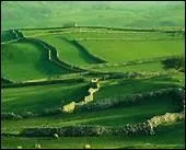 Qui chante God save Ireland ,