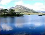 Qui chante Dublin Saunter ?