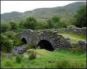 Qui chante Carrickfergus ?