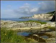 Qui chante Seven Drunken Nights ?