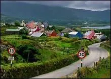 Quel est le titre de la chanson de Wolfe Tones qui rend hommage  l'irlande ?