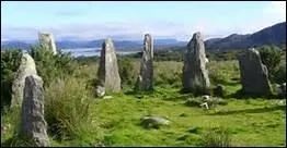 Dans quelle chanson Paddy Reilly rend-il hommage  Dublin ?