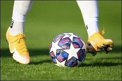 Qui a dit ça : "Le ballon, c'est comme une femme, il aime les caresses." ?