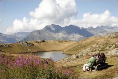 Quel grand félin peut-on trouver dans les massifs alpins de France ?