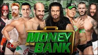Lors de l'édition Money in the bank 2014, John Cena a remporté le combat. Quel titre a-t-il gagné ?