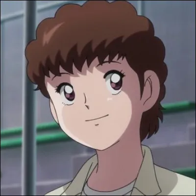 Quels sont les noms du père et de la mère de Tsubasa ?