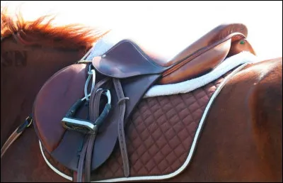 Après avoir dessellé et débridé un cheval, que faut-il faire ?