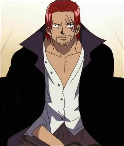 Qui a arraché le bras gauche de Shanks ?