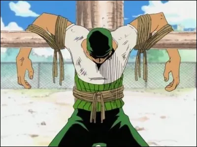 Combien de temps Zoro doit-il resté attaché à un poteau pour être délivré ?