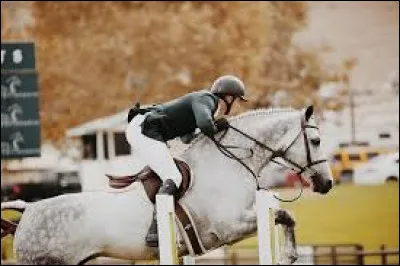 Par rapport à la question 4, si tu as coché la dernière réponse, voici la question ! Quelle compétition préfères-tu ?