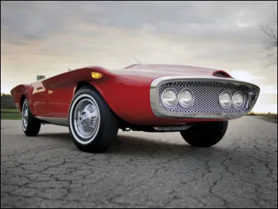 Petit détail : à quoi peuvent bien servir ces sortes d'ailerons bizarres ?