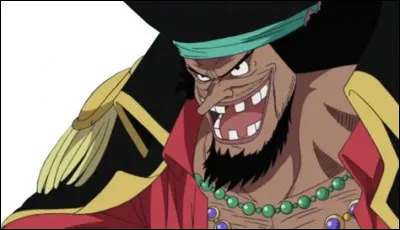 Que peut-on dire de ce personnage ?