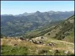 Le cantal est le nom d'un fromage, mais aussi ?