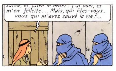 Tintin vient d'être tiré d'un mauvais pas dans "Les Cigares du Pharaon" : mais qui diable sont ces deux femmes ?