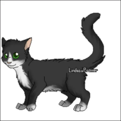 Ton chef te demande de prendre la tête de la patrouille de l'aube. "Tu partiras avec Bois d'Or et Cur de Pavot. Mais tu iras aussi avec Pelage Gelé (ta maman)."