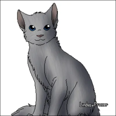 Tu as passé de nombreuses lunes à servir ton clan, il est maintenant temps pour toi de rejoindre le clan des Étoiles. 
Quelles sont tes dernières paroles ?