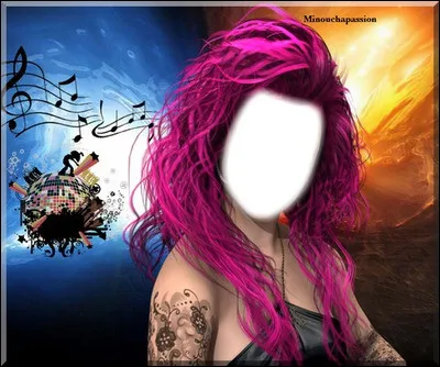 Qui chante "La Rockeuse de diamant" ?