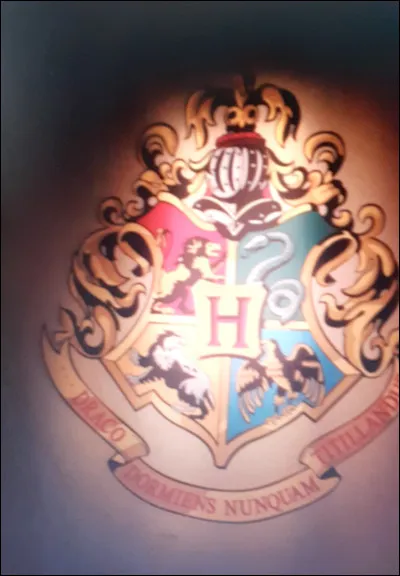 Dans quelle maison es-tu ?