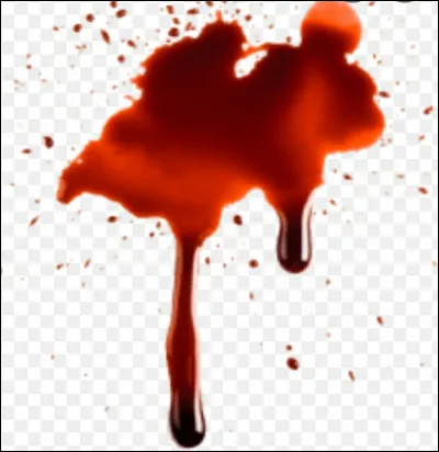 Quel est ton statut (sang) ?