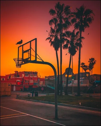 En 2020 la deuxième ville la plus peuplée des États-Unis est...