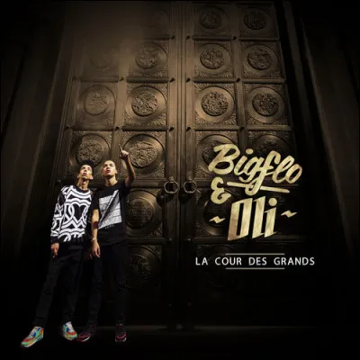 Dans l'album "La Cours des grands", quelle est la chanson qui contient les paroles : "C'est l'histoire de deux frères, qui écrivent dans leurs chambres/ Qui sont tombés dans l'rap par hasard et qui tentent leur chance" ?