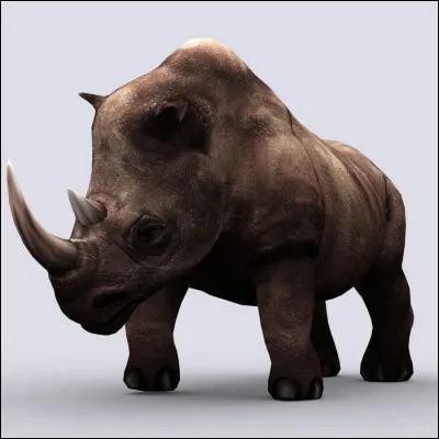 Si tu étais un animal, tu serais plutôt :