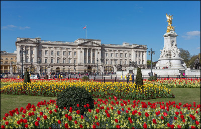 La Reine peut trouver, dans les sous-sols du palais de Buckingham...