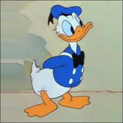 Comment se nomme le canard dans ''Mickey'' ?