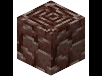 Où trouve-t-on la netherit ?