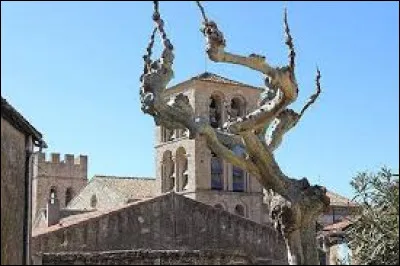 Nous terminons notre balade dans le Minervois, à Trausse. Commune de l'agglomération Carcassonnaise, sur l'Argent-Double, elle se situe dans le département ...