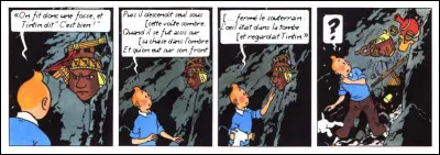 Poésie > C'est à une double mise en abyme que nous convie Tintin : qui cite-t-il, en cet instant funèbre, et en ce mettant à la place du héros [lequel ] ?